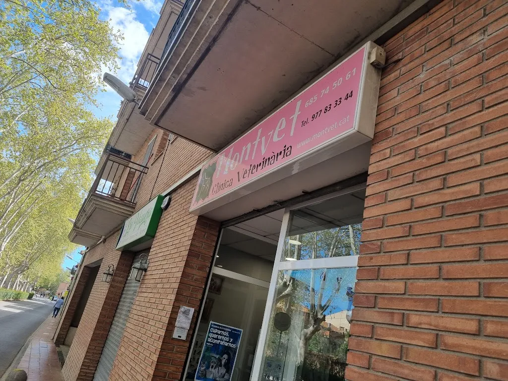 Imagen de Principal