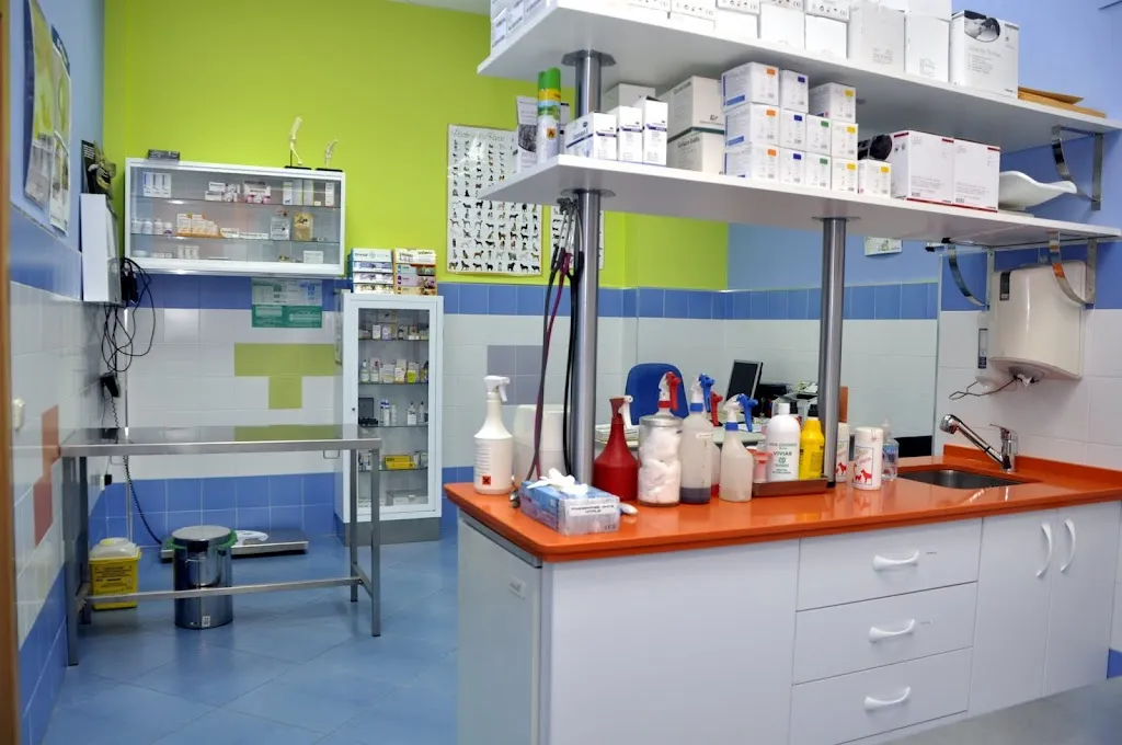 Imagen de Principal