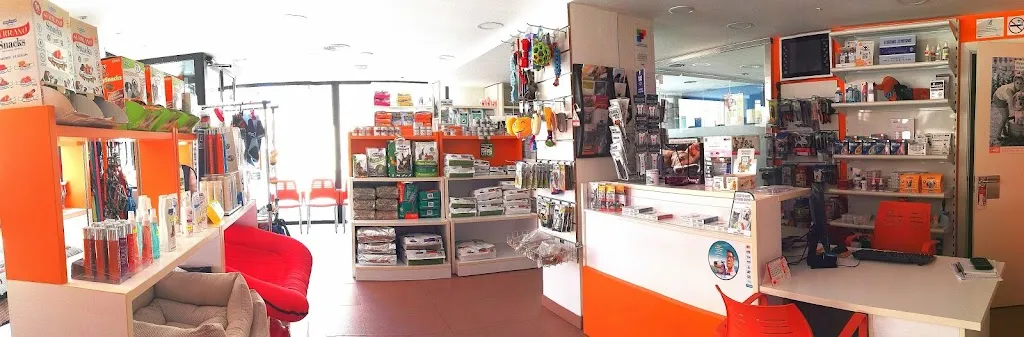 Imagen de Principal