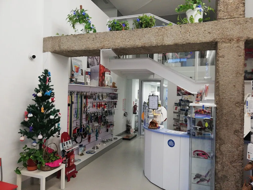 Imagen de Principal