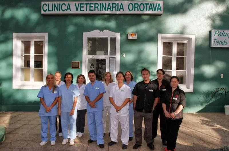 Imagen de Principal