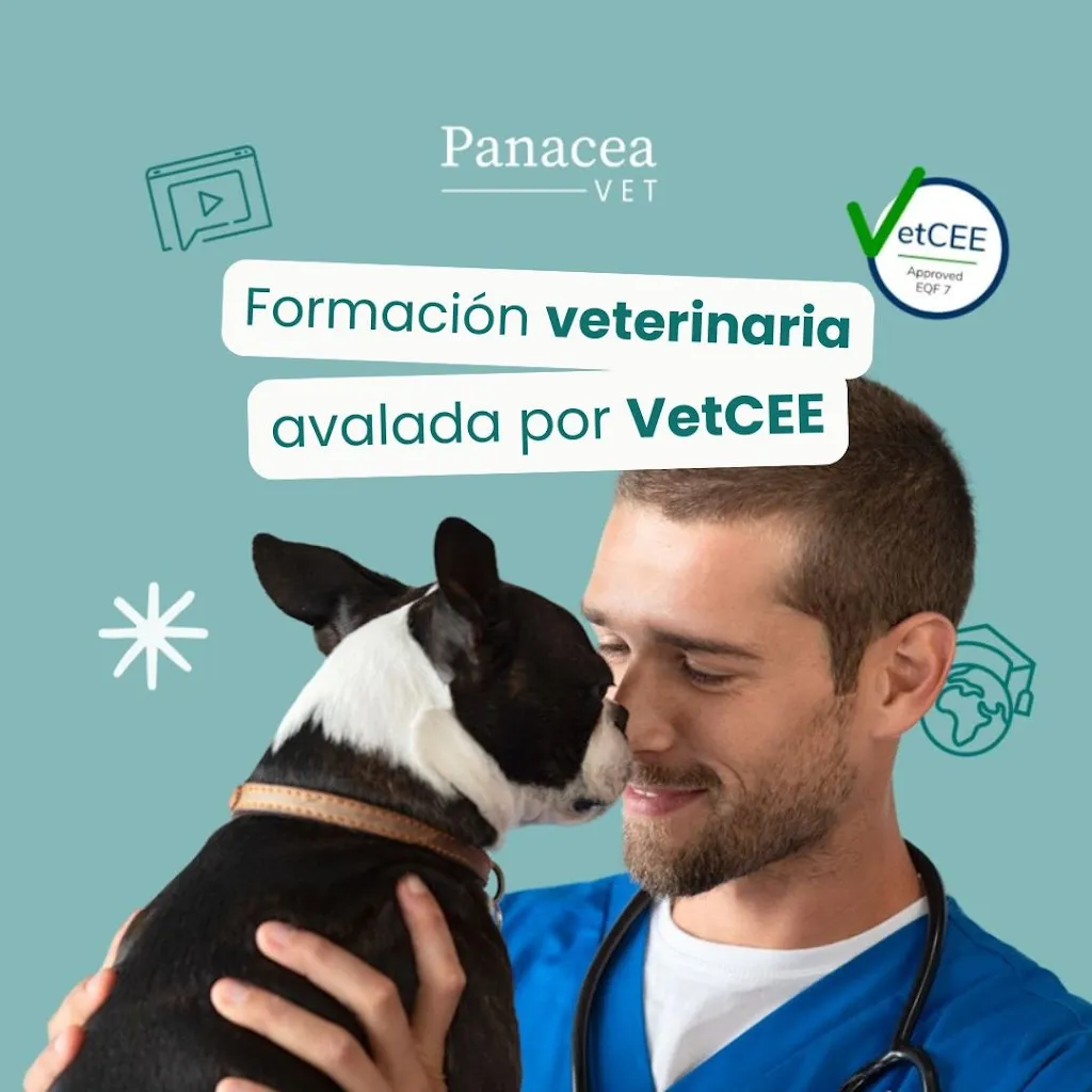 Imagen de Principal