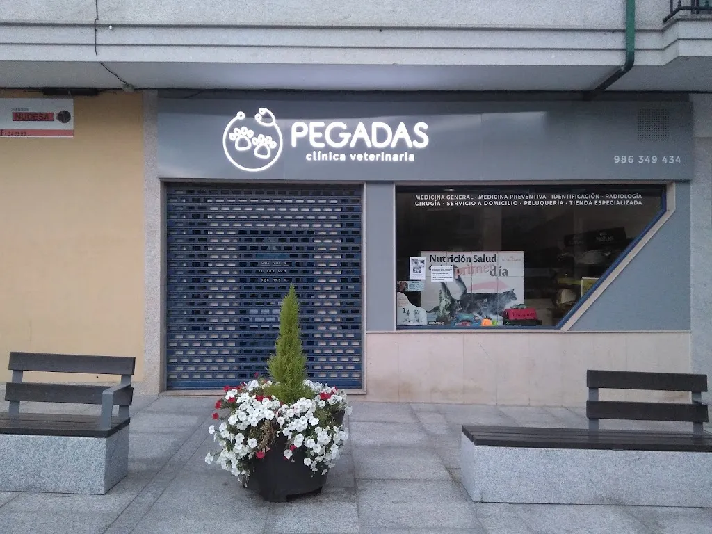 Imagen de Principal