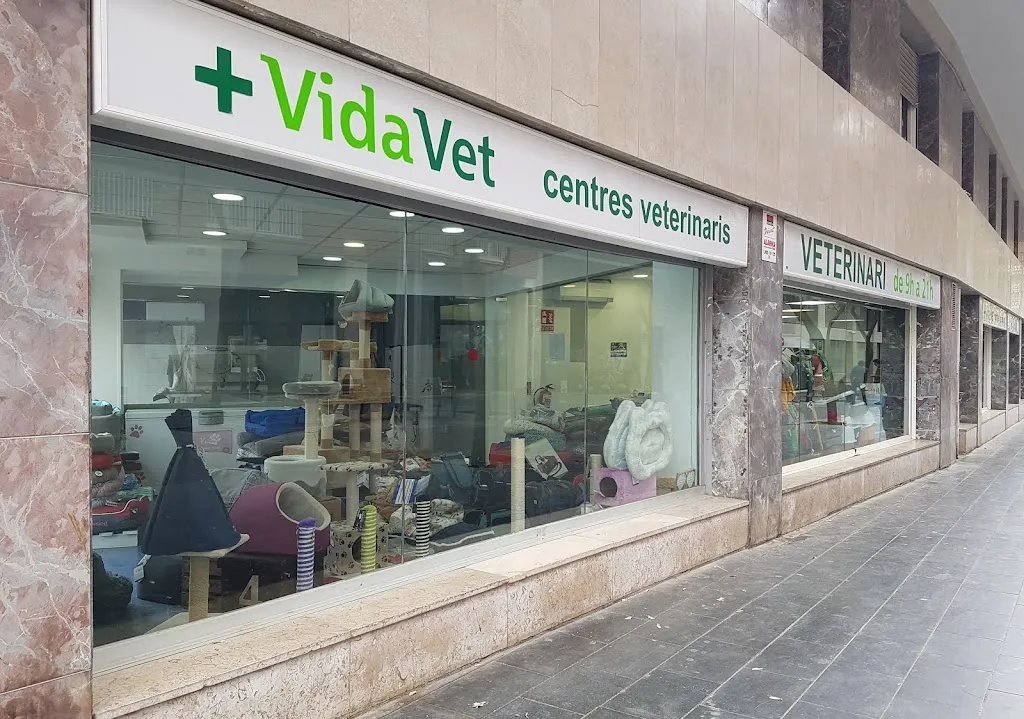 Imagen de Principal
