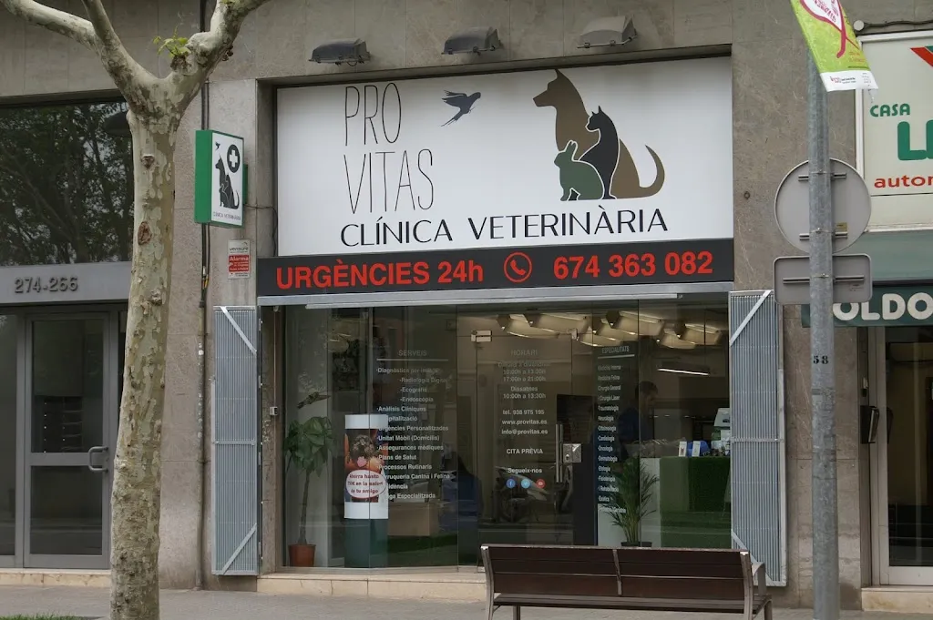 Imagen de Principal