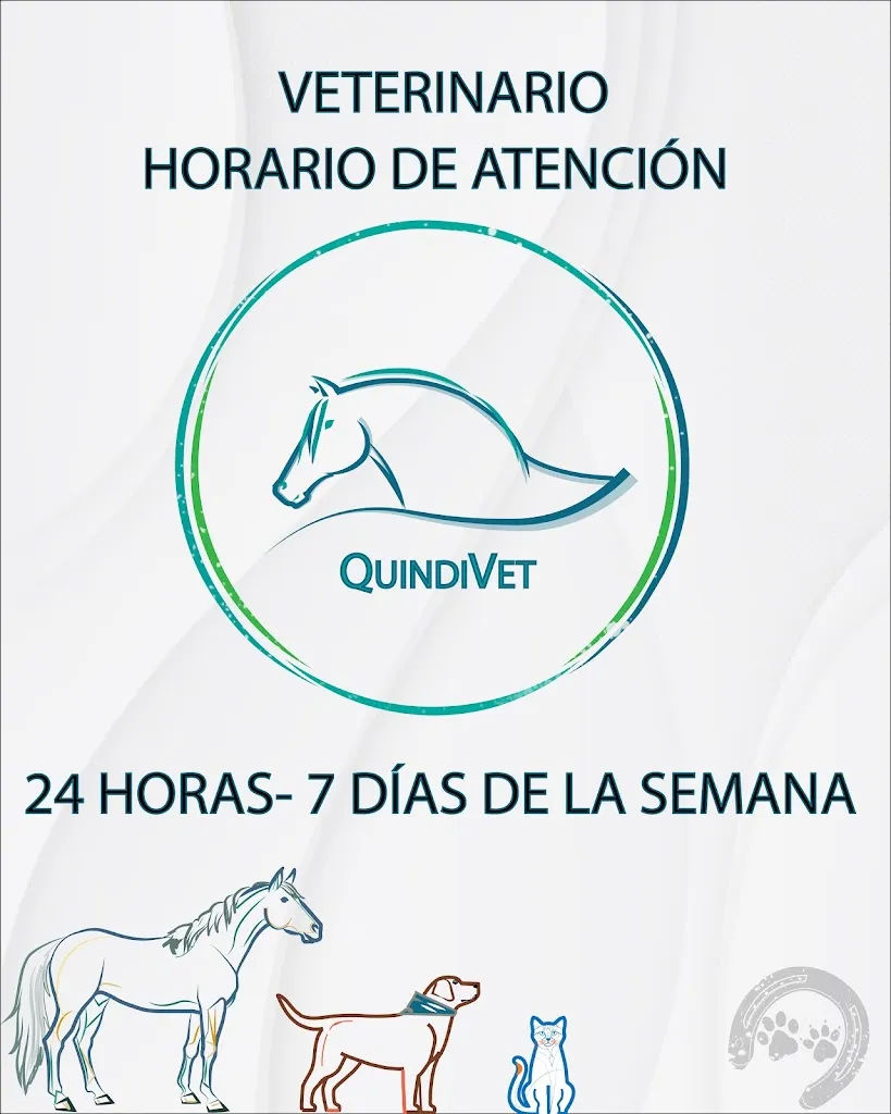 Imagen de Principal