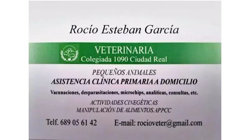 Imagen de Principal