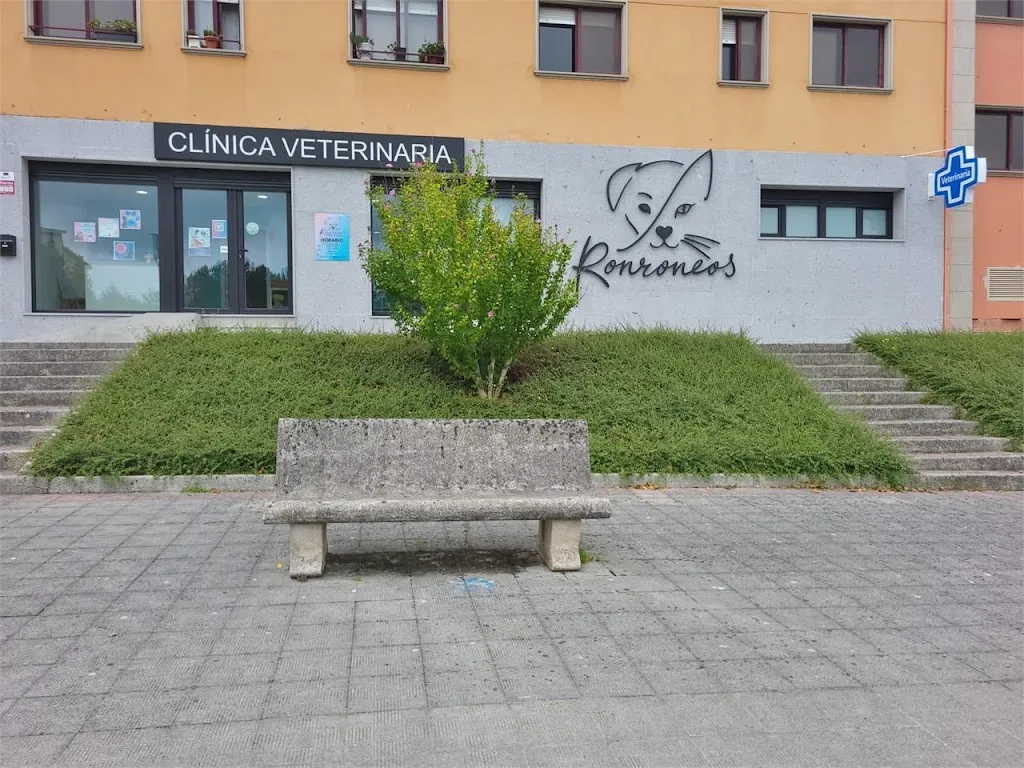 Imagen de Principal