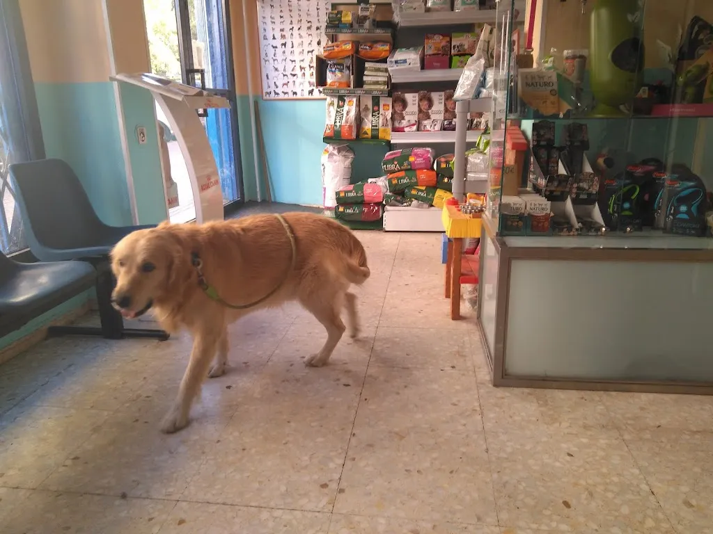 Imagen de Principal