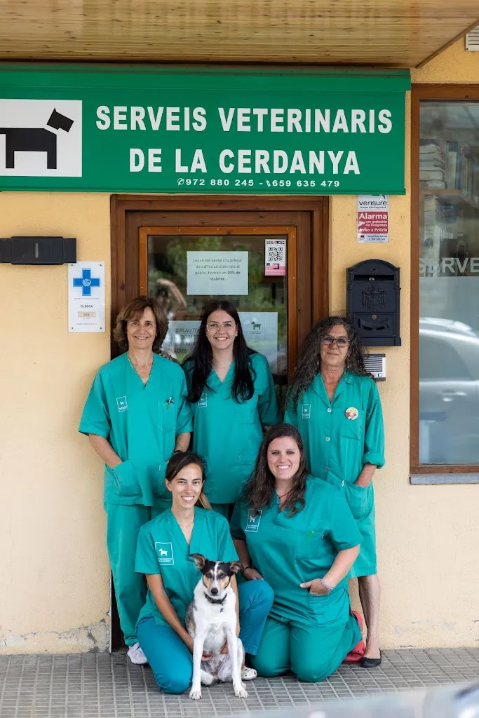 Imagen de Principal