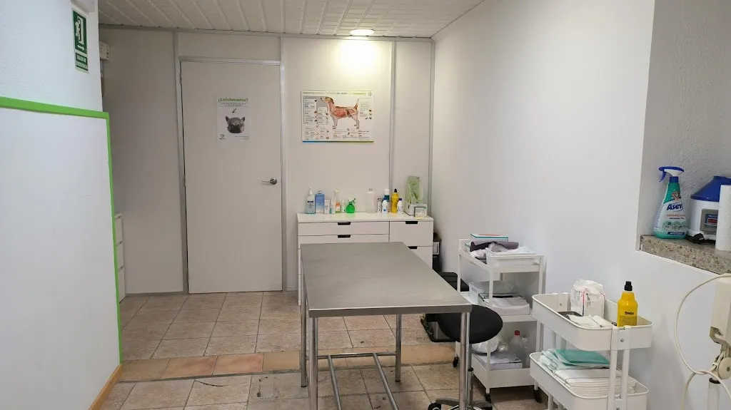 Imagen de Principal