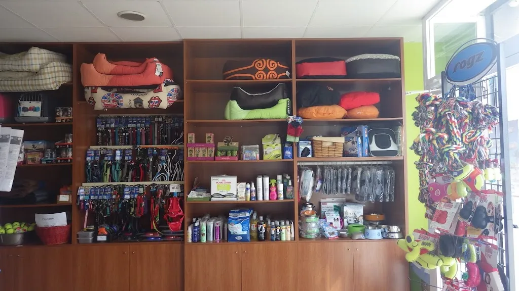 Imagen de Principal
