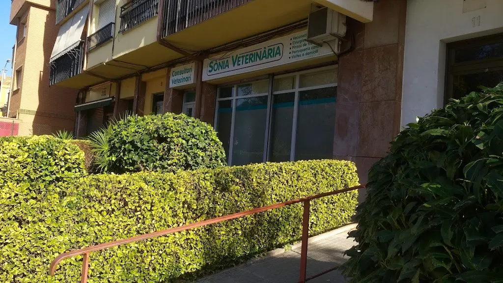 Imagen de Principal