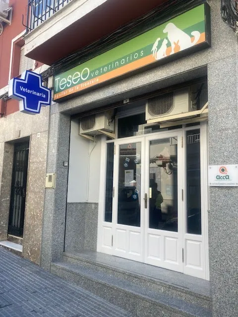 Imagen de Principal