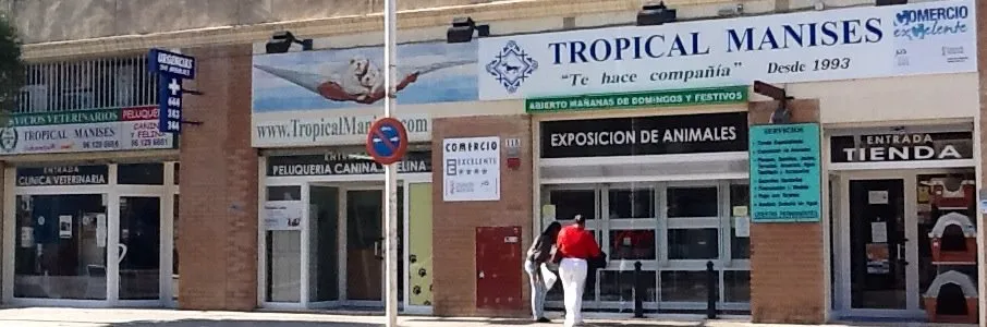 Imagen de Principal