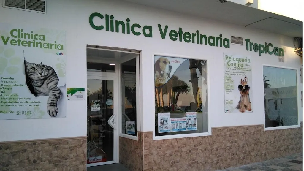 Imagen de Principal
