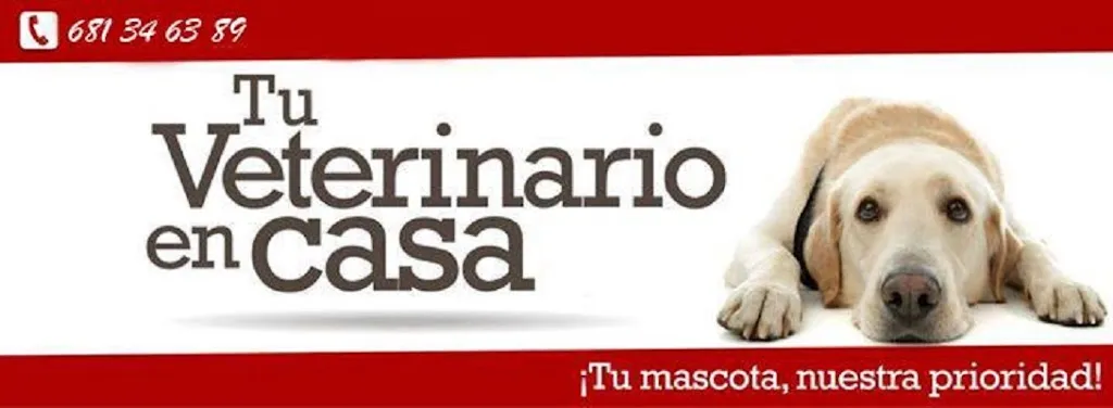 Imagen de Principal