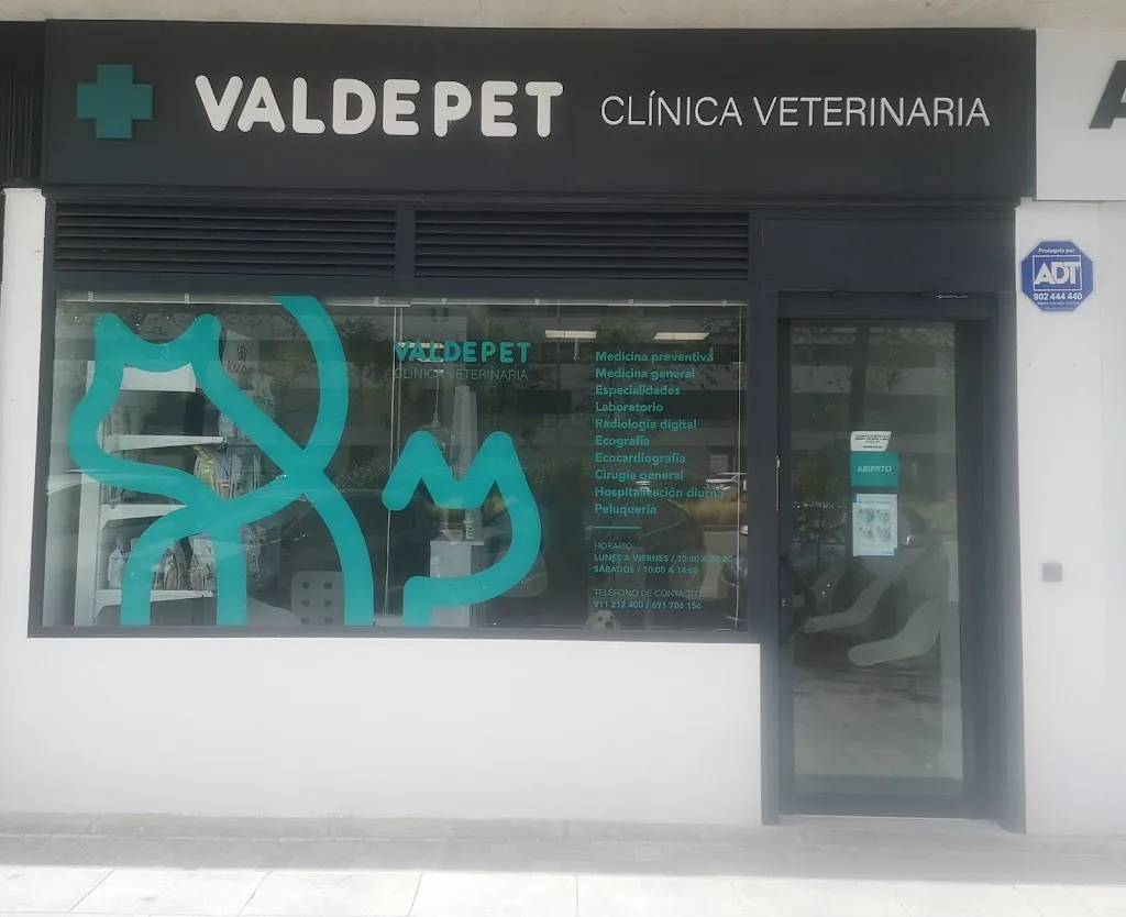 Imagen de Principal