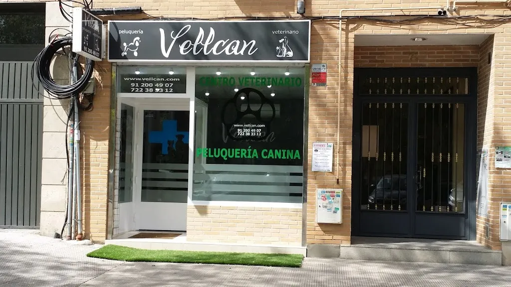 Imagen de Principal