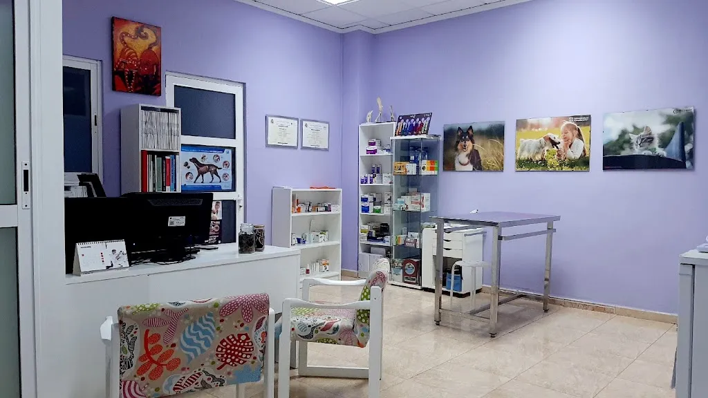 Imagen de Principal