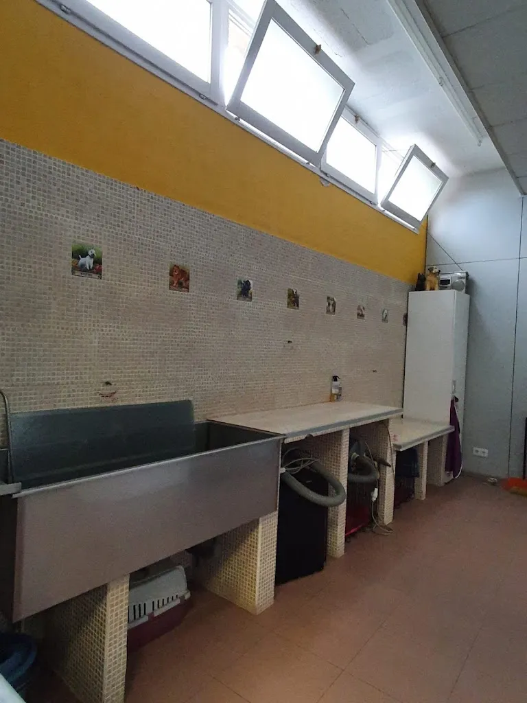 Imagen de Principal