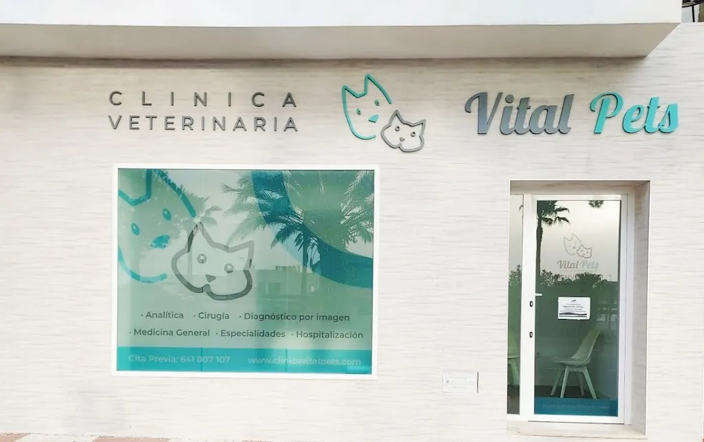 Imagen de Principal