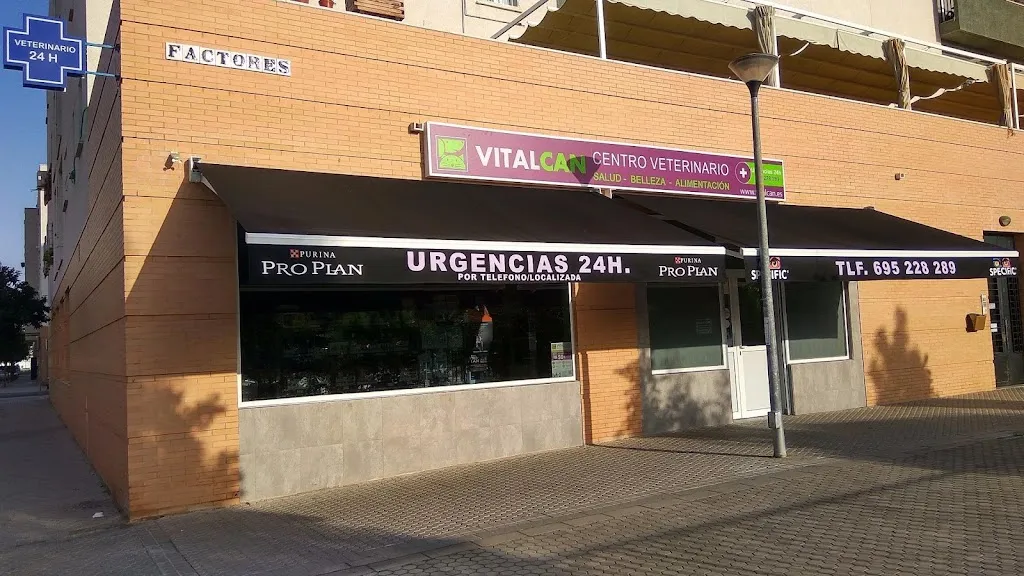 Imagen de Principal