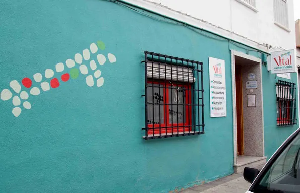 Imagen de Principal